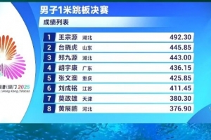 全运会跳水男子1米板决赛：王宗源总分492.3分斩获冠军