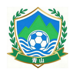 青山区