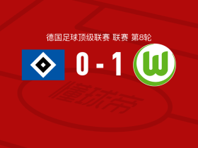 沃尔夫斯堡1-0汉堡，达吉姆制胜