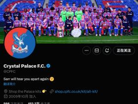 杀人诛心？水晶宫官媒更改简介：萨尔会再次将你们撕成碎片！