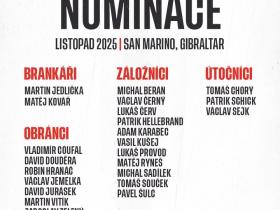 捷克11月大名单：绍切克、希克领衔，舒尔茨、维季克在列